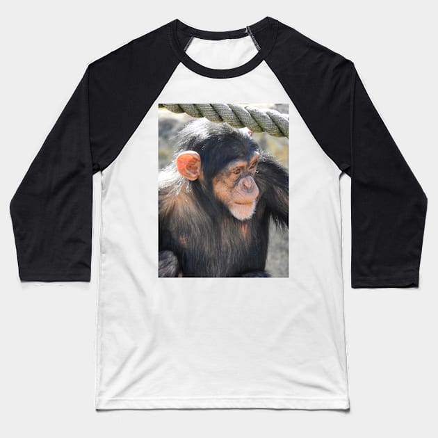 Chimpanzee Baseball T-Shirt by kirstybush